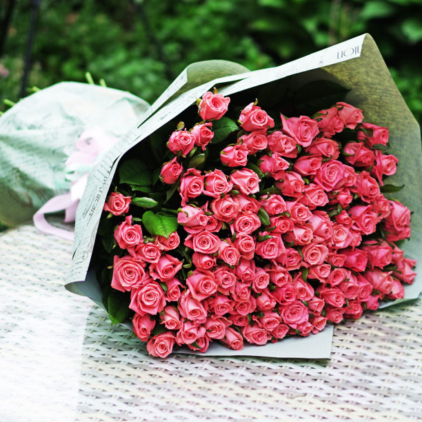 101 meter rose Anna Karina buy with delivery