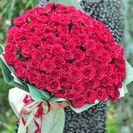 101 scarlet rose 60 sm