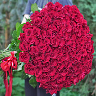 101 meter rose, Freedom, Ecuador