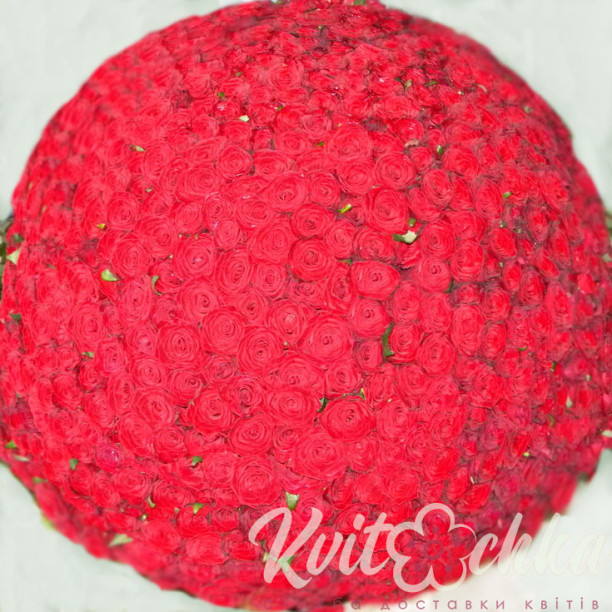 1001 high red rose Grand Prix buy with delivery