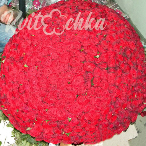 1001 high red rose Grand Prix buy with delivery