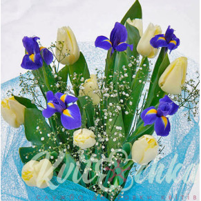 Spring mix with irises