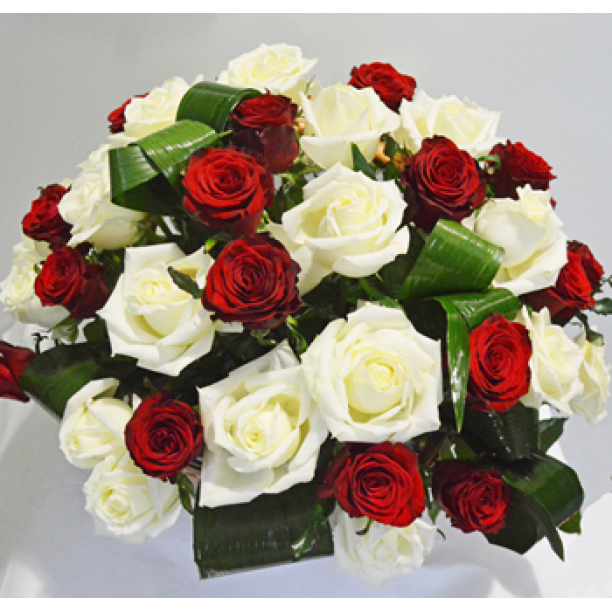 Contrast (31 Rosa) in the basket buy with delivery