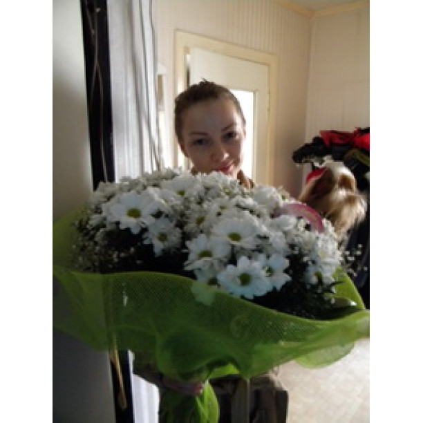 Romashkovidnye chrysanthemum buy with delivery