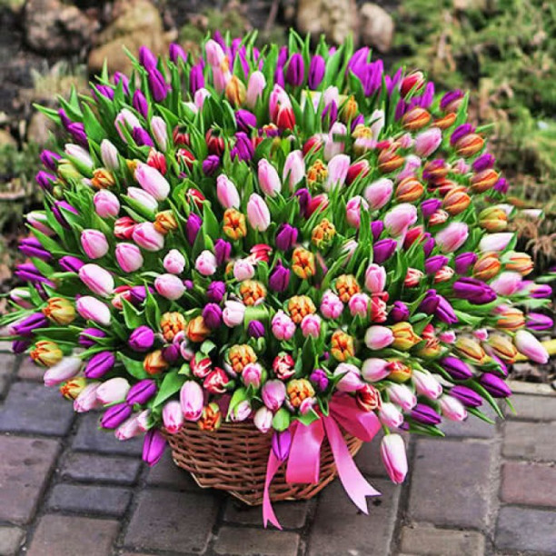 251 multi-colored Tulip in the basket buy with delivery