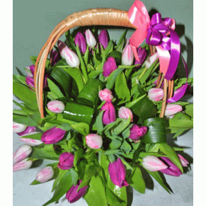 Tulip Basket Purple surprise