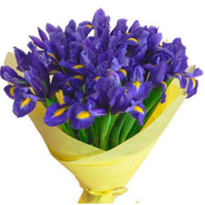 Bouquet of irises 35 pieces