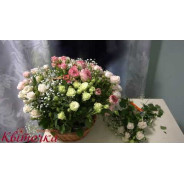 Большая корзина с розами "Юбилей"